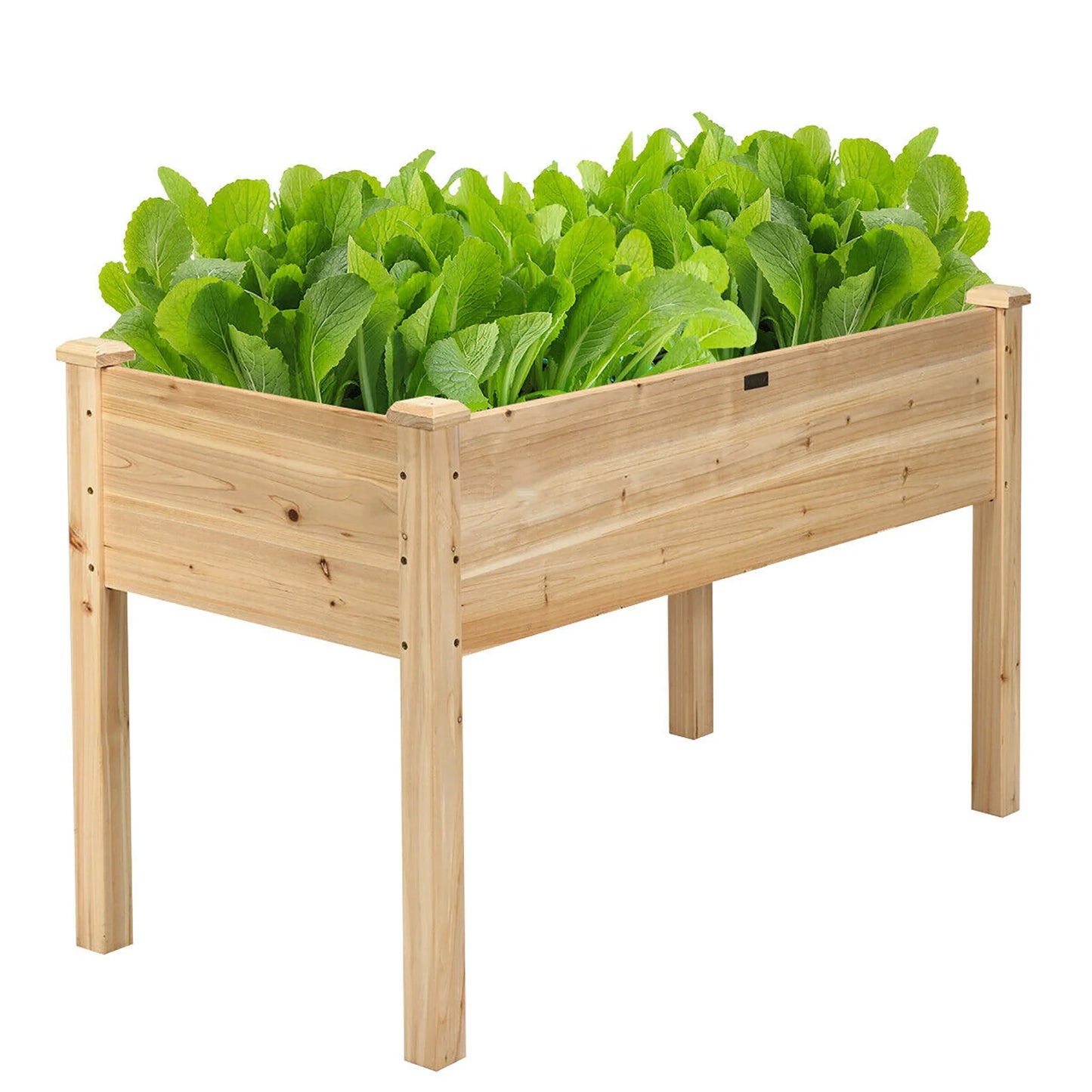 Wooden Raised Vegetable Garden Bed Elevated Grow Vegetable Planter Grey
