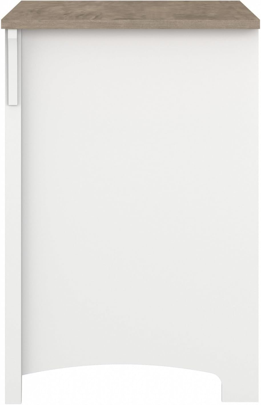 Bush Furniture Salinas 2 Drawer Lateral File Cabinet in Pure White and Shiplap Gray