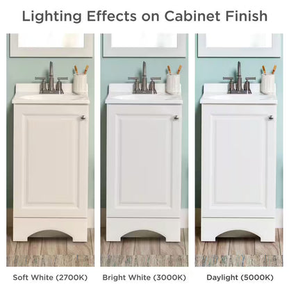 19 In. Single Sink White Bath Vanity with White Cultured Marble Top (Assembled)