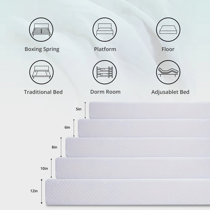 Truezen Twin Mattress, 6" Memory Foam Mattresses in a Box, Medium