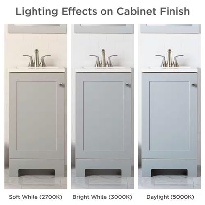 19 In. Single Sink Pearl Gray Bath Vanity with White Cultured Marble Top (Assembled)