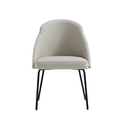 Gracie Modern Dining Chairs - Set of 4