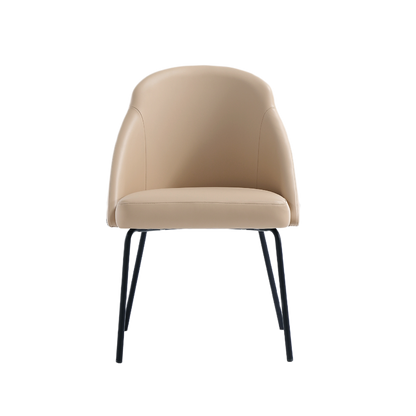 Gracie Modern Dining Chairs - Set of 4