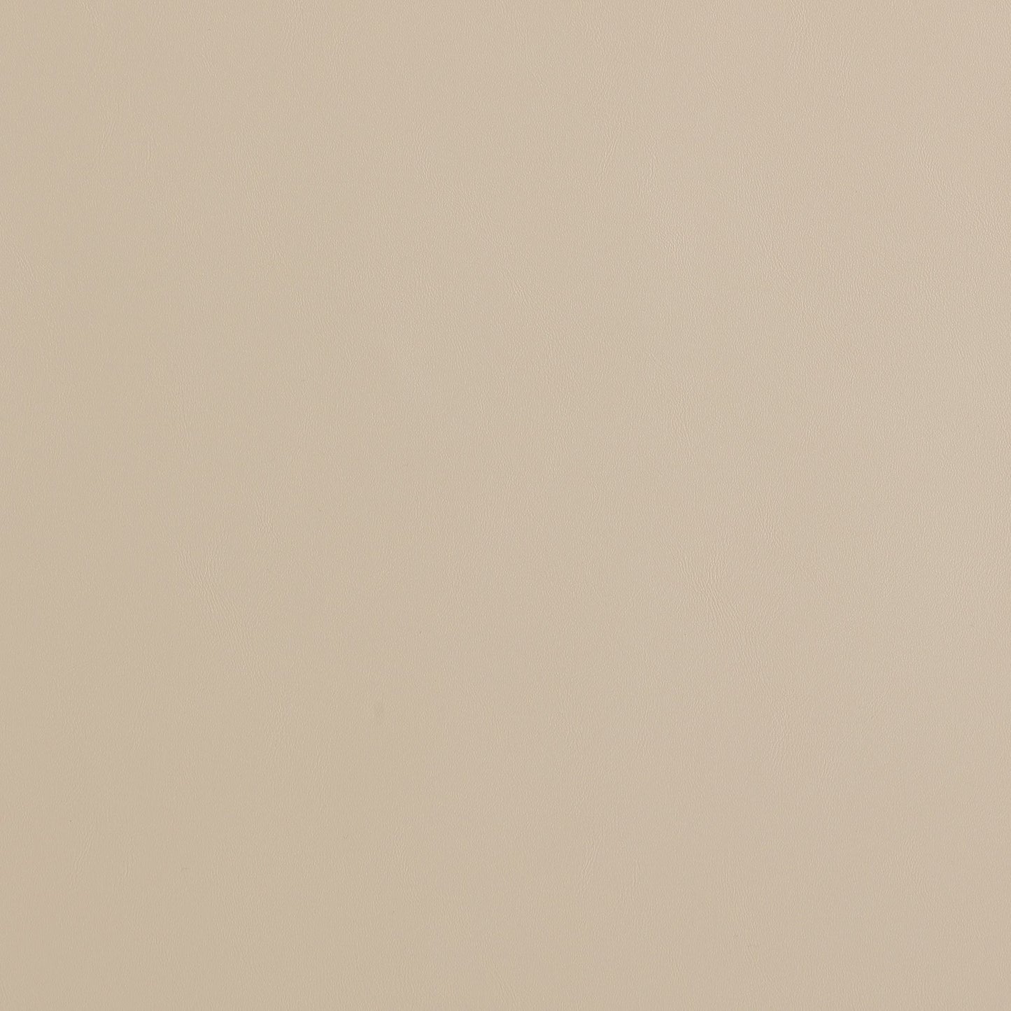 Gracie Modern Dining Chairs - Set of 4