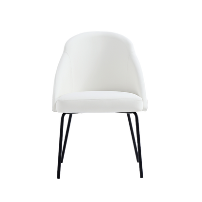 Gracie Modern Dining Chairs - Set of 4